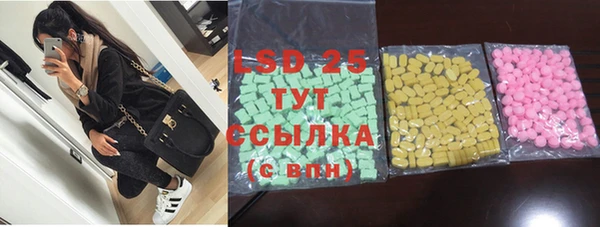 индика Армянск