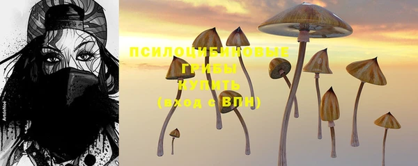 индика Армянск