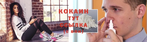 ешки Аркадак