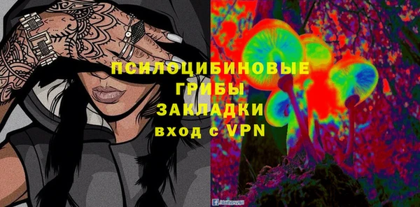индика Армянск