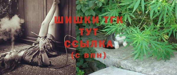 ешки Аркадак