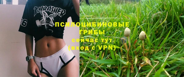 ешки Аркадак