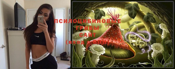 индика Армянск