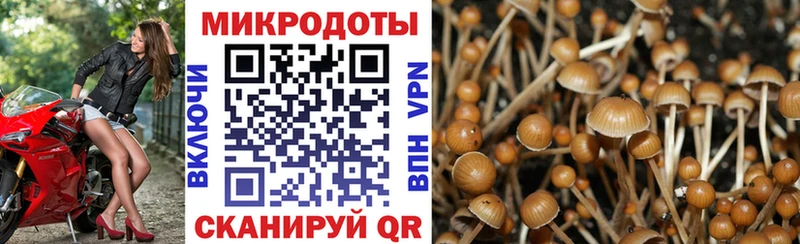 ссылка на мегу сайт  Ханты-Мансийск  Псилоцибиновые грибы прущие грибы 
